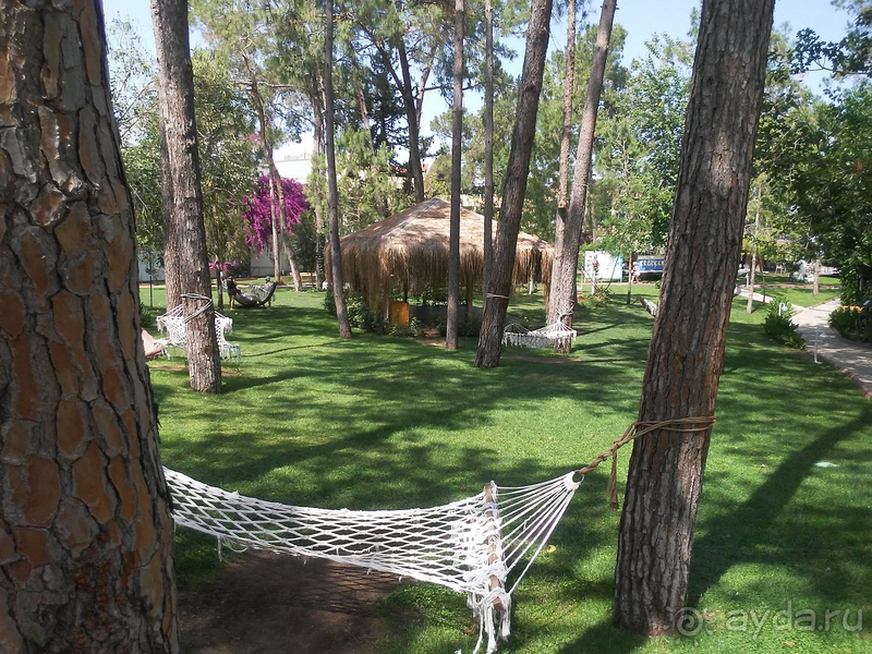 Вернемся ли мы в этот отель второй раз? – Да