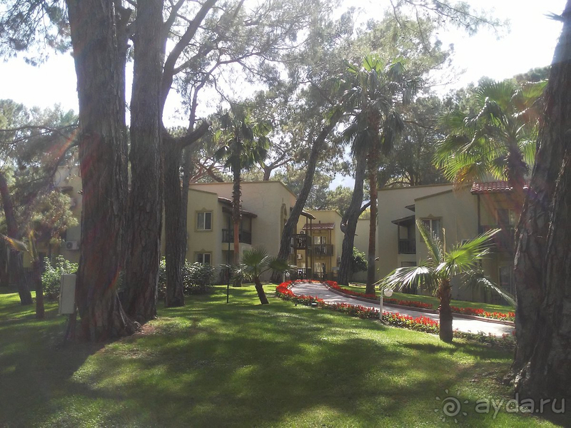 Вернемся ли мы в этот отель второй раз? – Да