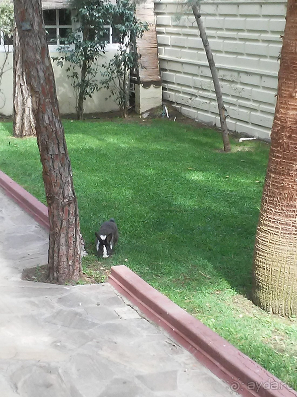 Вернемся ли мы в этот отель второй раз? – Да