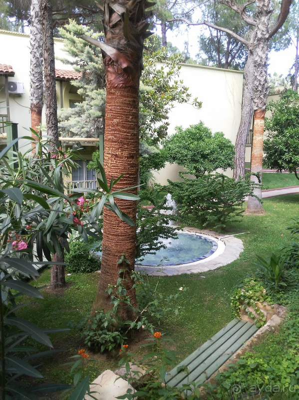 Вернемся ли мы в этот отель второй раз? – Да Вернемся ли мы в этот отель второй раз? – Да