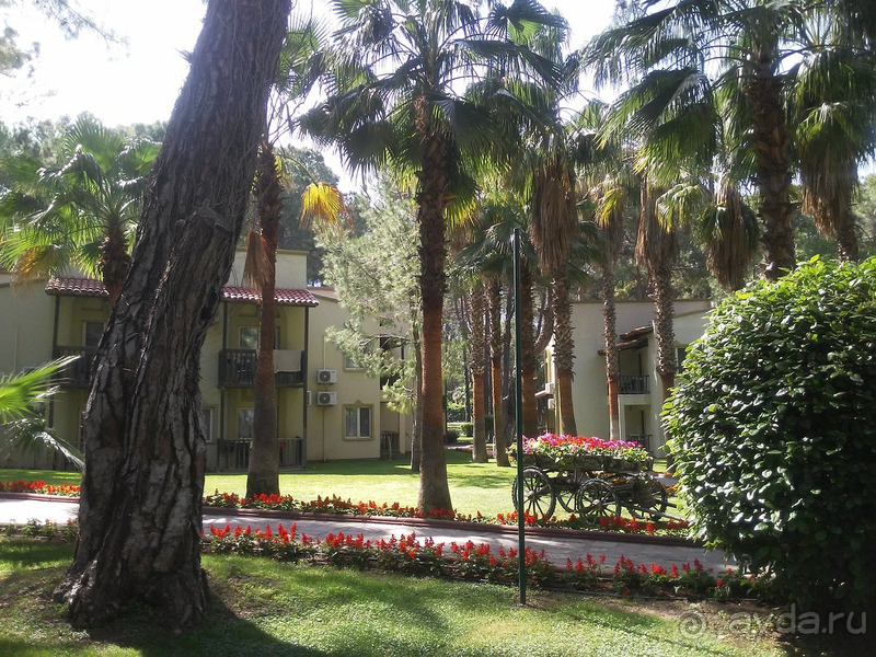 Вернемся ли мы в этот отель второй раз? – Да