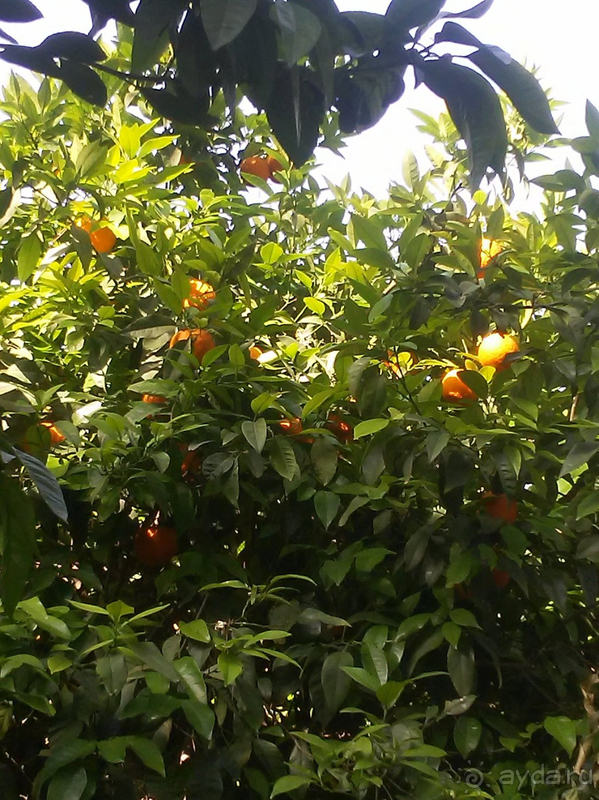 Вернемся ли мы в этот отель второй раз? – Да