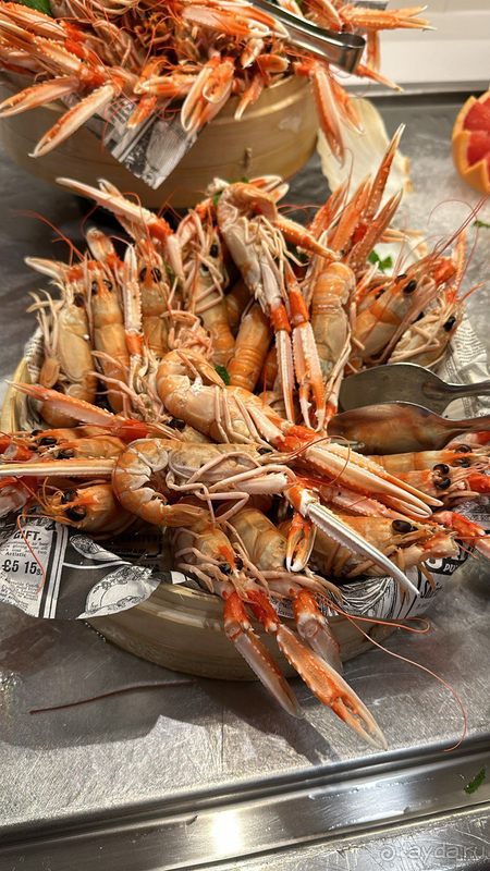 Спокойный отдых в красивом месте 