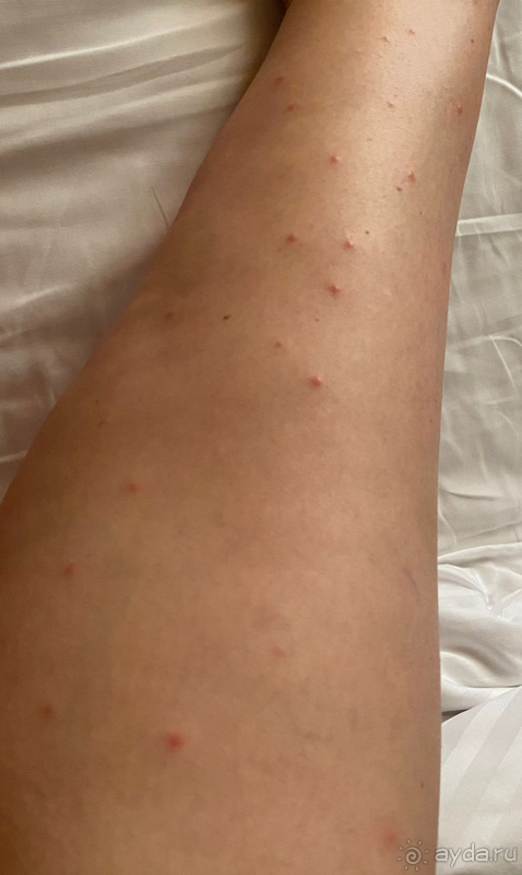 Стелла испортилась до неузнаваемости