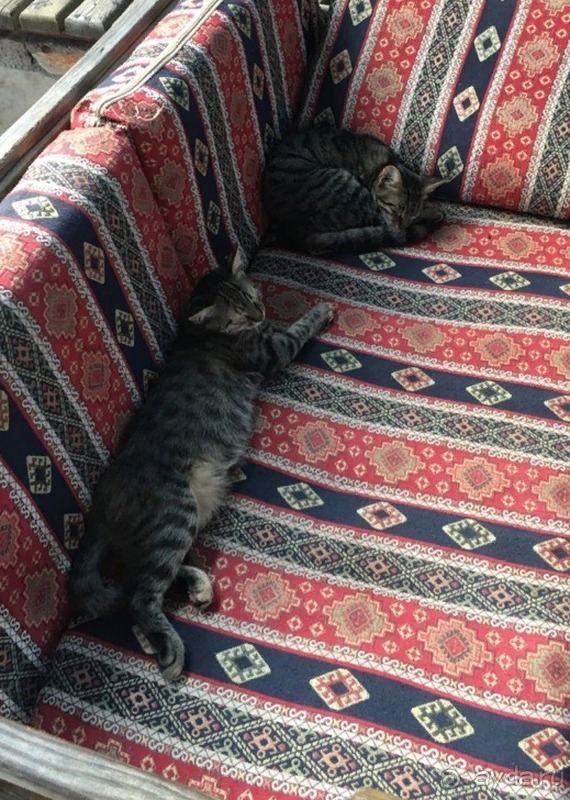 Отель тянет на 4, рекомендую непритязательным туристам.