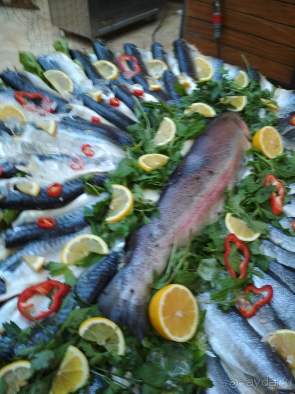 Цена тура очень завышена, качество услуг низкое!