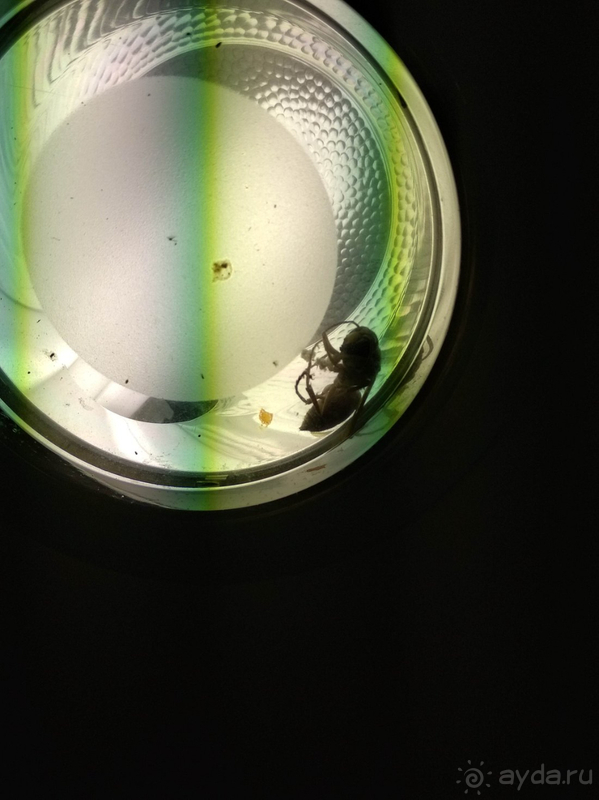 Цена тура очень завышена, качество услуг низкое!