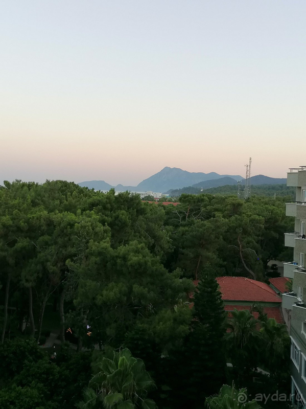 Прекрасный отель в Текирова