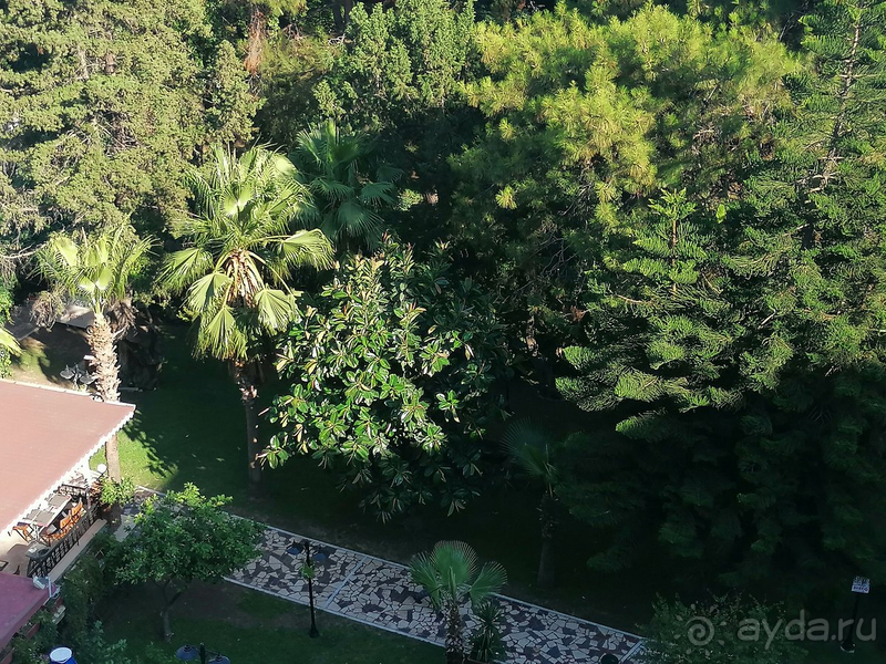 Прекрасный отель в Текирова