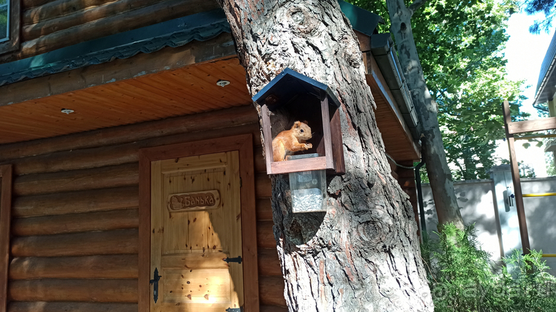 Гостевой дом "Сосновая дача"