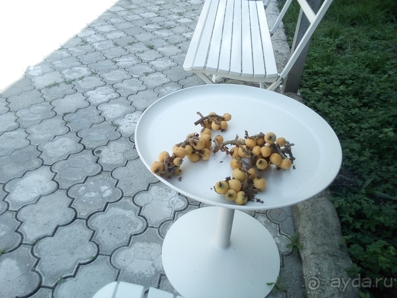 Гостевой дом "Пальмик". Лазаревское  ул. Речная, д. 17. 