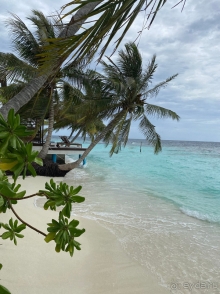 Когда Мечта немного не дотянула :)