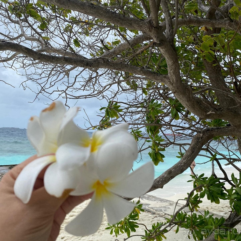 Когда Мечта немного не дотянула :)