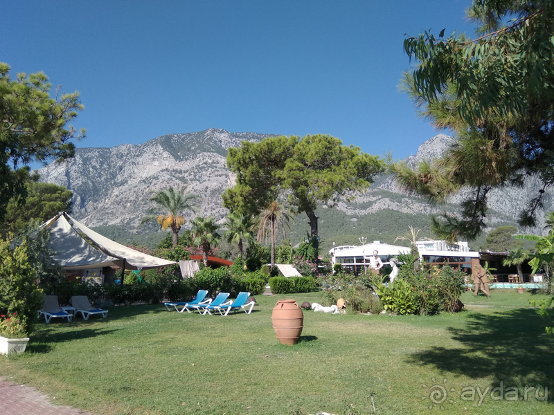 Зелёный, xороший и комфортный отель