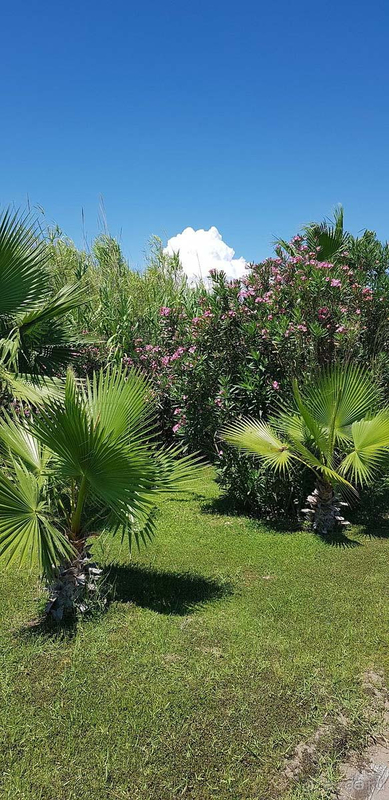 Одно из лучших мест в Белеке