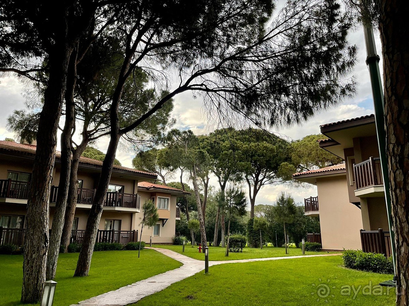 Действительно отдых!