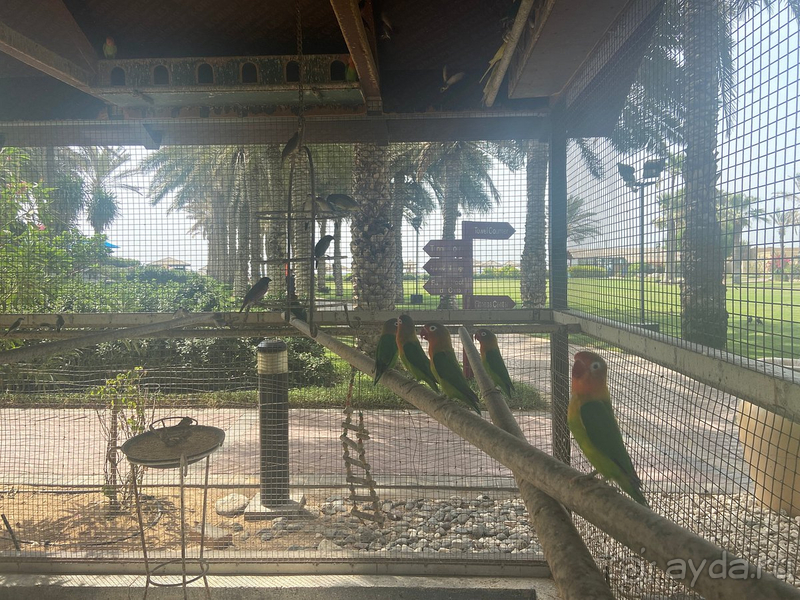 Отпуск в Шардже Отпуск в Шардже