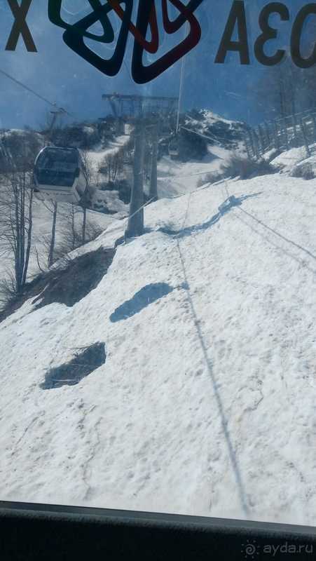 фото Приют Панды