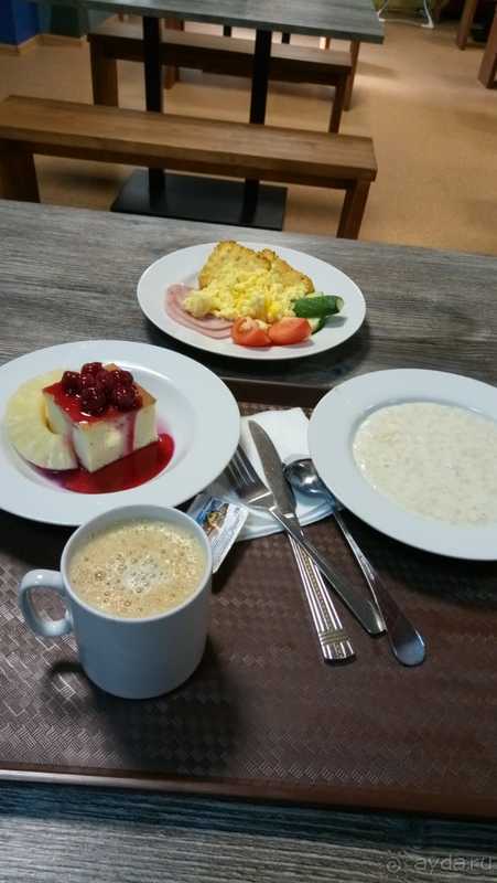 фото Приют Панды