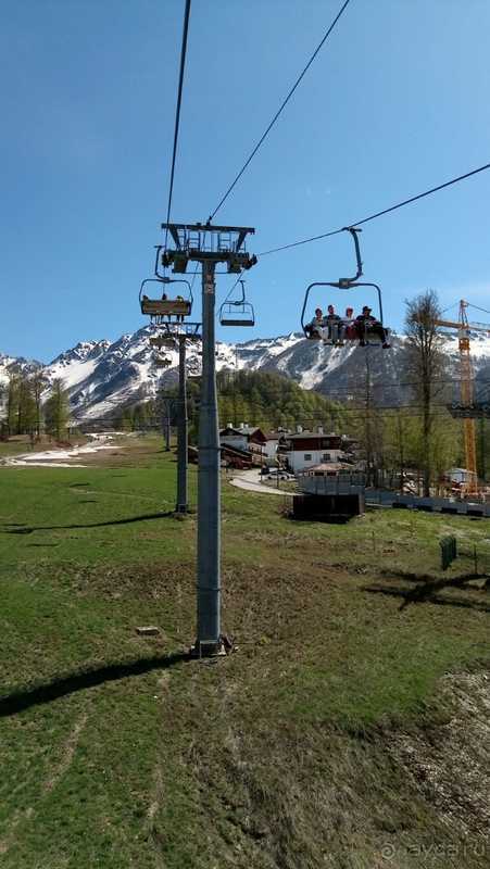 фото Приют Панды