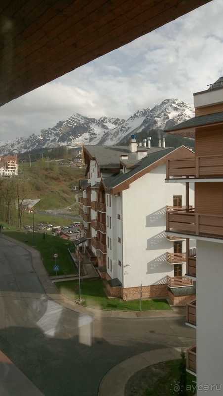 фото Приют Панды