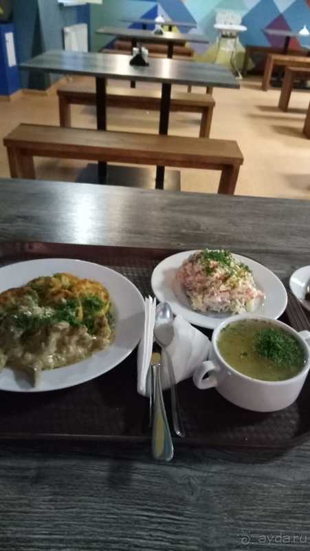 фото Приют Панды