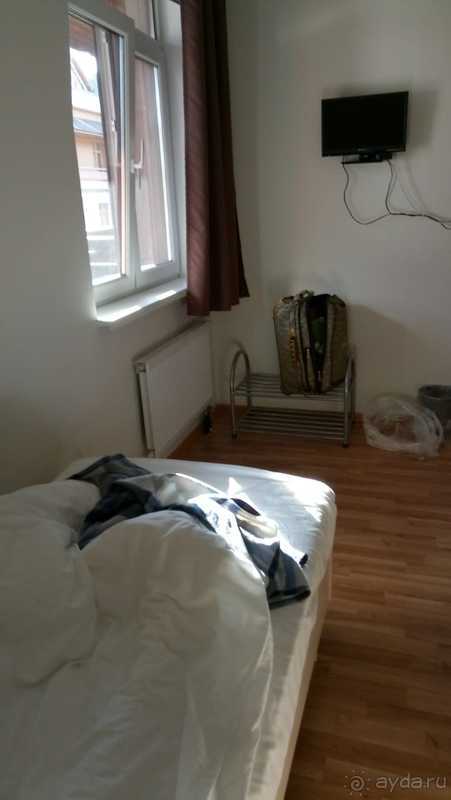 фото Приют Панды