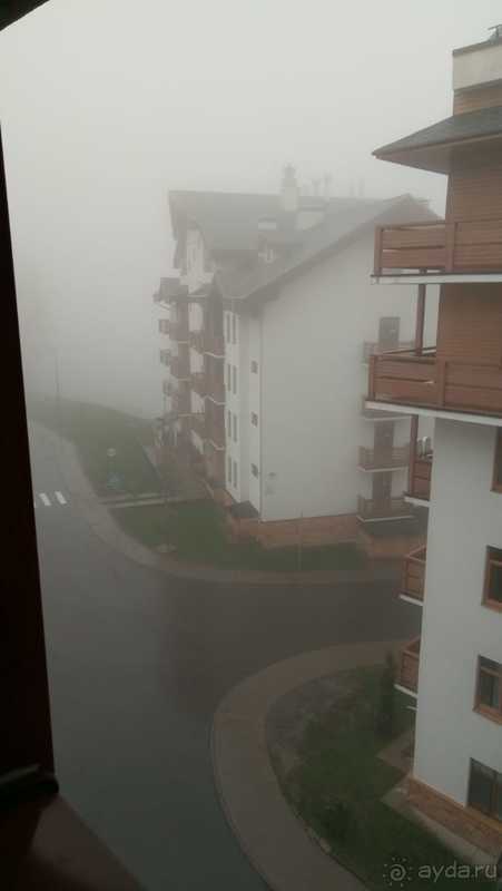 фото Приют Панды