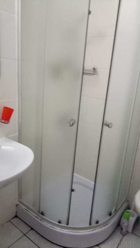 фото Приют Панды