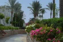 Stella Di Mare Beach Hotel & Spa