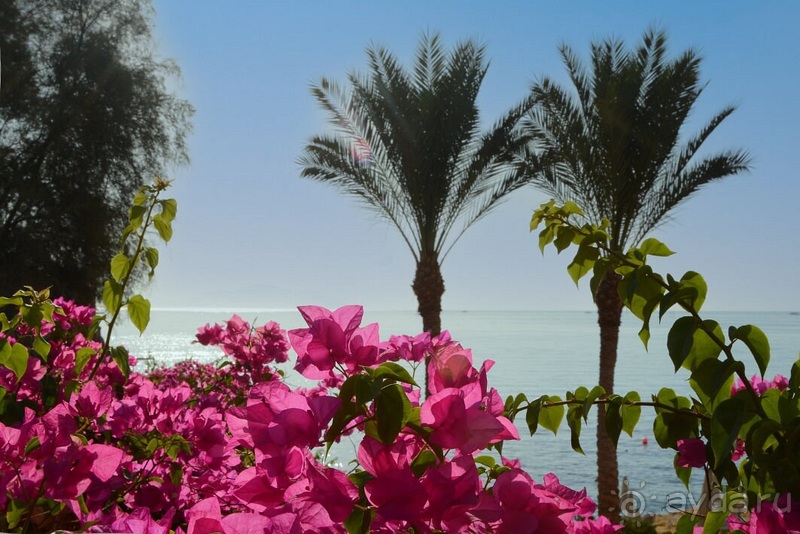 Stella Di Mare Beach Hotel & Spa