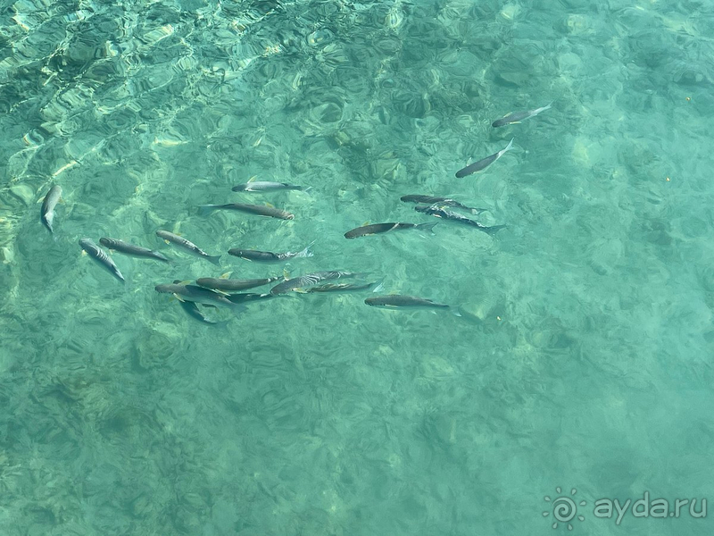 Впервые на Мальдивах.