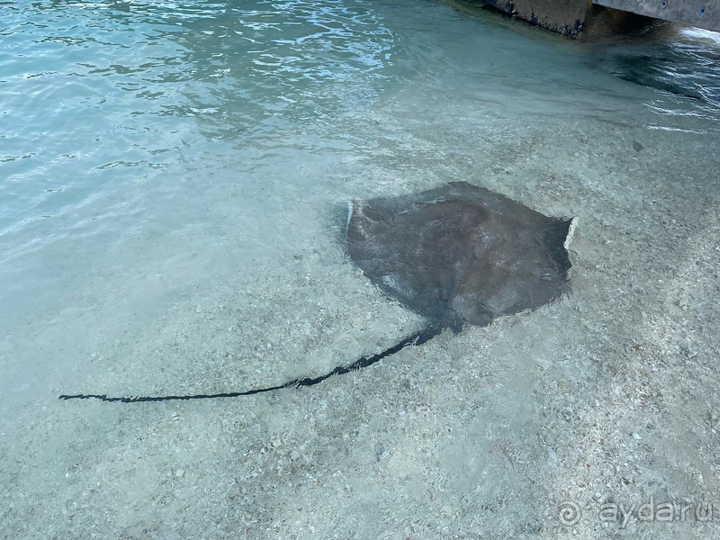 Впервые на Мальдивах.