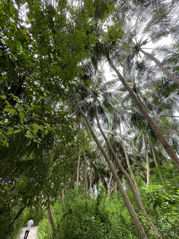 Впервые на Мальдивах.