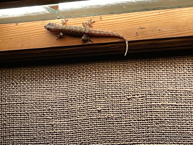 Впервые на Мальдивах.