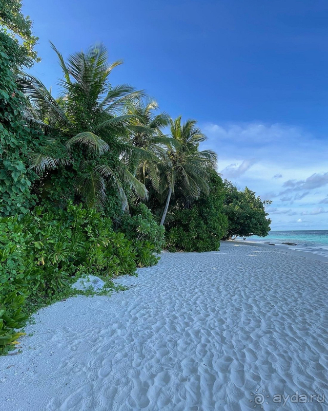 Впервые на Мальдивах.