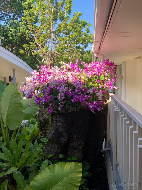 Для спокойного отдыха