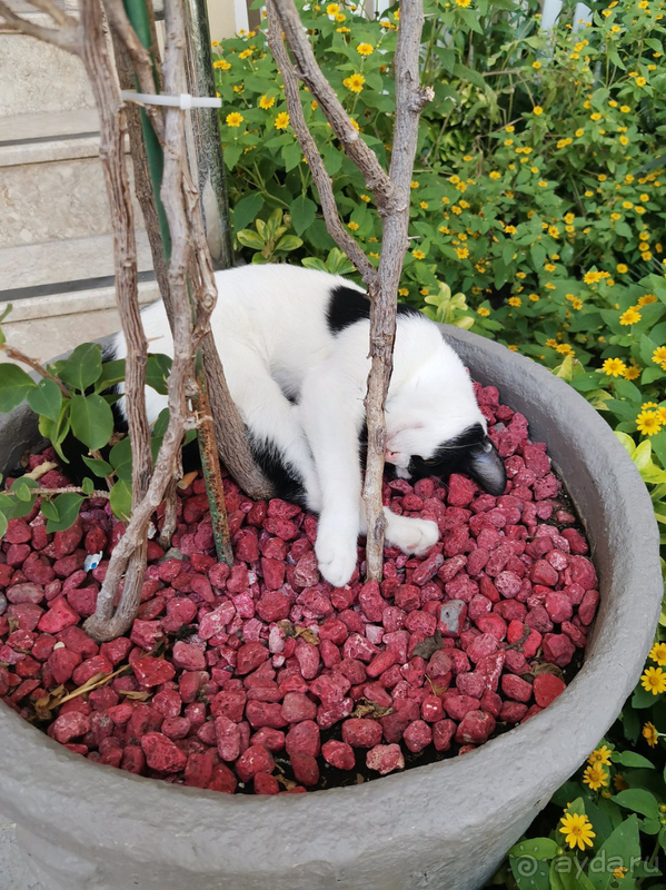 Замечательно провели время