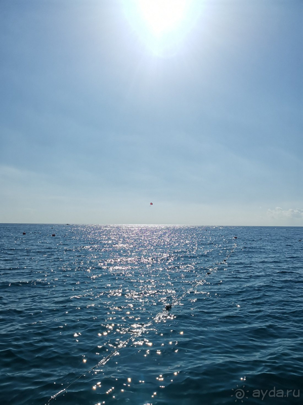 Замечательно провели время