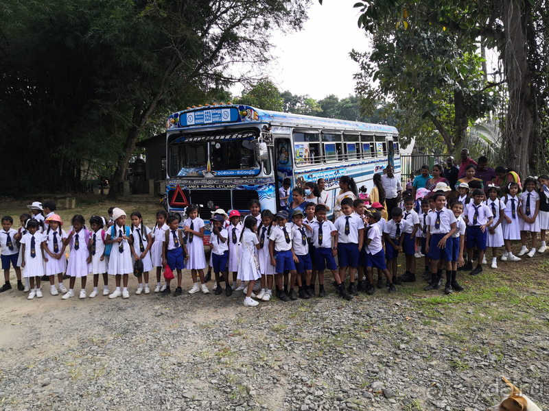 Вся Шри-Ланка за 10 дней. Вояж и круиз, все включено. Часть 1