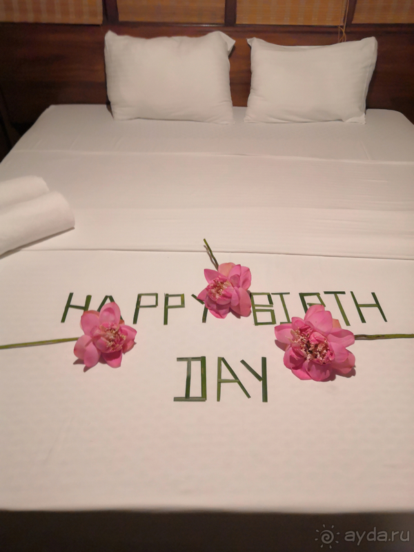 Вся Шри-Ланка за 10 дней. Вояж и круиз, все включено. Часть 1