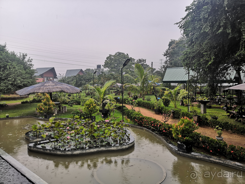 Вся Шри-Ланка за 10 дней. Вояж и круиз, все включено. Часть 1
