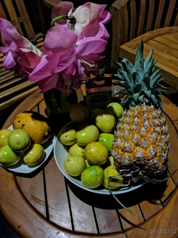 Вся Шри-Ланка за 10 дней. Вояж и круиз, все включено. Часть 1