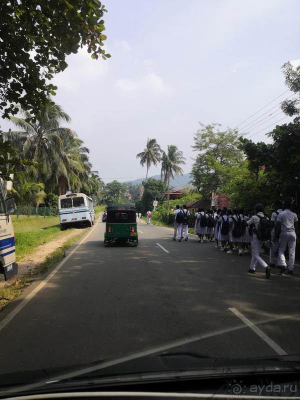 Вся Шри-Ланка за 10 дней. Вояж и круиз, все включено. Часть 1