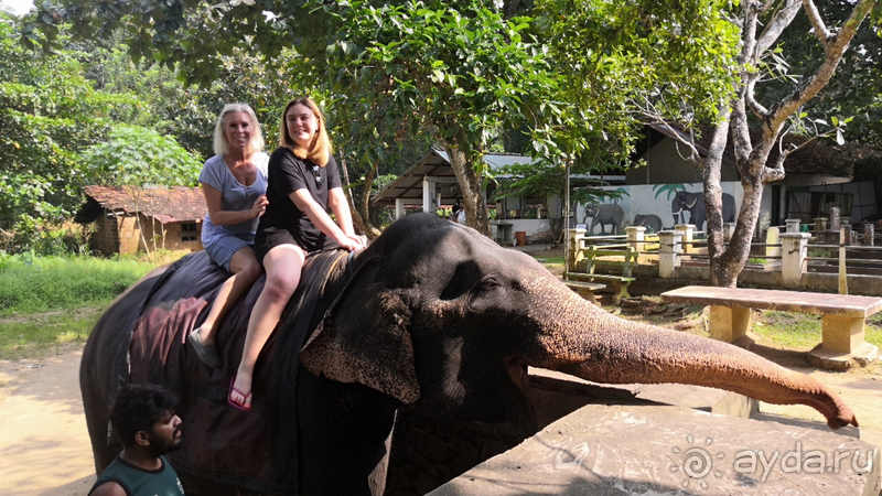 Вся Шри-Ланка за 10 дней. Вояж и круиз, все включено. Часть 1