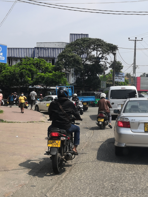 Вся Шри-Ланка за 10 дней. Вояж и круиз, все включено. Часть 1