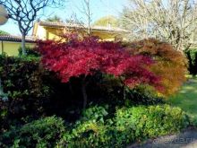 Перед Рождеством на поезде из Москвы...а целью был отдых на термальном курорте!