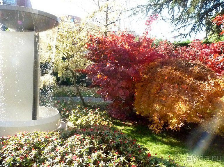 Перед Рождеством на поезде из Москвы...а целью был отдых на термальном курорте!