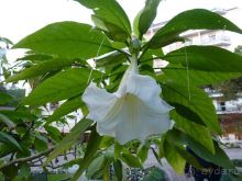 Перед Рождеством на поезде из Москвы...а целью был отдых на термальном курорте!