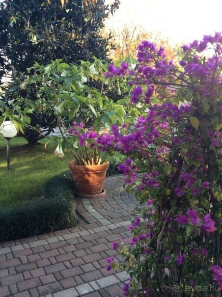 Перед Рождеством на поезде из Москвы...а целью был отдых на термальном курорте!